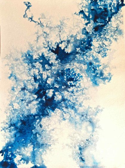 Synaptic Fields 3